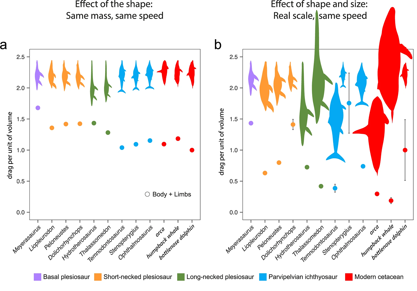 Examine This: Cumbersome plesiosaurs might not have actually been bad swimmers after all