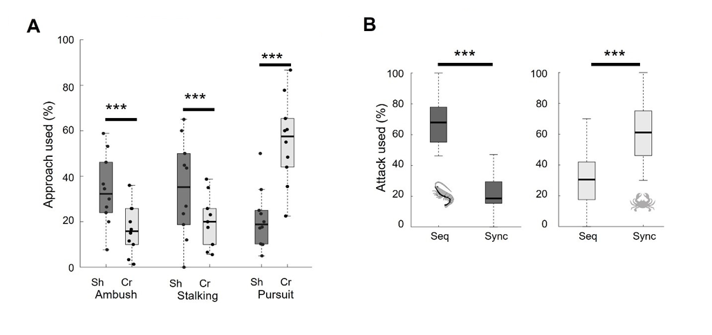 Analyze This: Octopuses might utilize preferred arms for ordering dishes