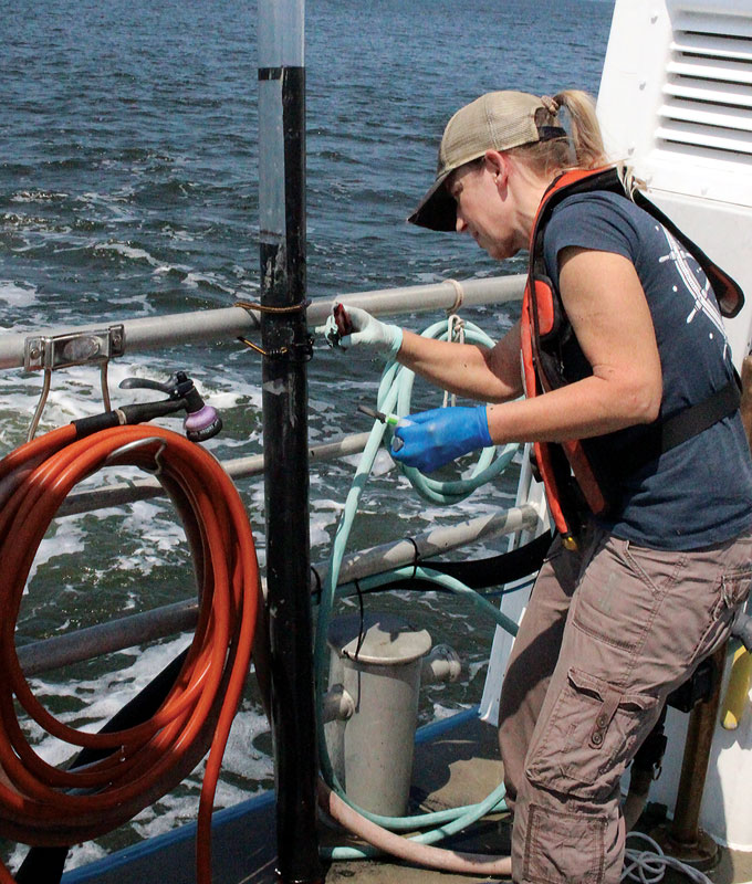 Bacterial ‘living wires’ could help protect the seas and climate